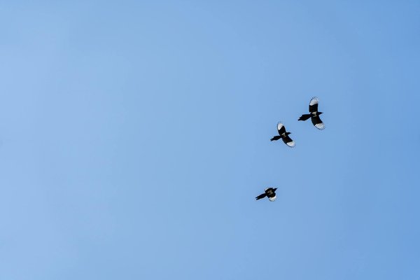 Techniques de mindfulness pour les seniors souffrant de stress