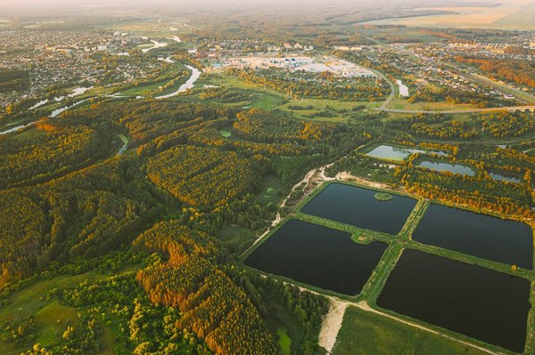 Comment la marche méditative peut-elle améliorer la gestion du stress chez les adultes?